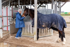 2019-04-13-Aktivstall-Springob_12-Roswitha-beim-Ausspannen