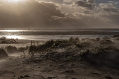 Heinz-Dieter Schmidt